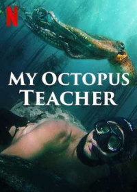 Ahtapottan Öğrendiklerim - The Octopus Teacher Türkçe Dublaj indir | 1080p DUAL | 2020