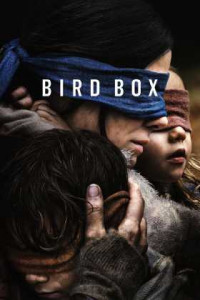 Bird Box Türkçe Dublaj indir | 1080p DUAL | 2018