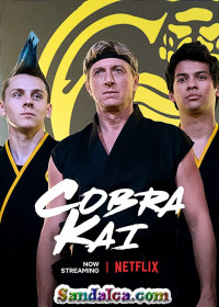 Cobra Kai 4. Sezon Türkçe Dublaj indir | 1080p DUAL