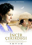 İncir Çekirdeği Sansürsüz indir | 1080p | 2009