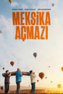 Meksika Açmazı indir | 1080p | 2023