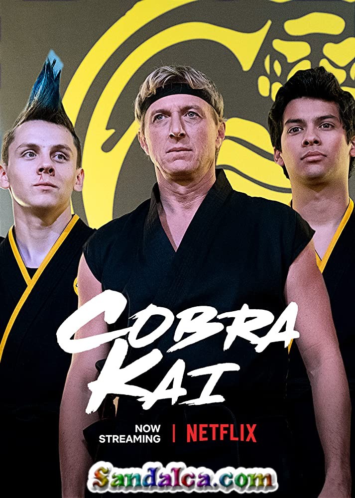 Cobra Kai 3. Sezon Türkçe Dublaj indir | 1080p DUAL