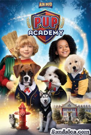 Pup Academy 1. Sezon Tüm Bölümleri Türkçe Dublaj indir | 1080p DUAL