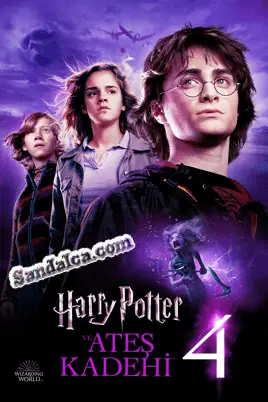 Harry Potter ve Ateş Kadehi Türkçe Dublaj indir | 1080p DUAL | 2005