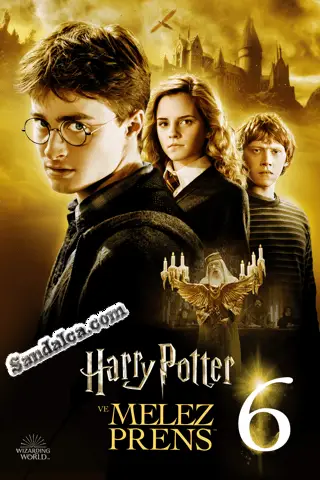 Harry Potter ve Melez Prens Türkçe Dublaj indir | 1080p DUAL | 2009