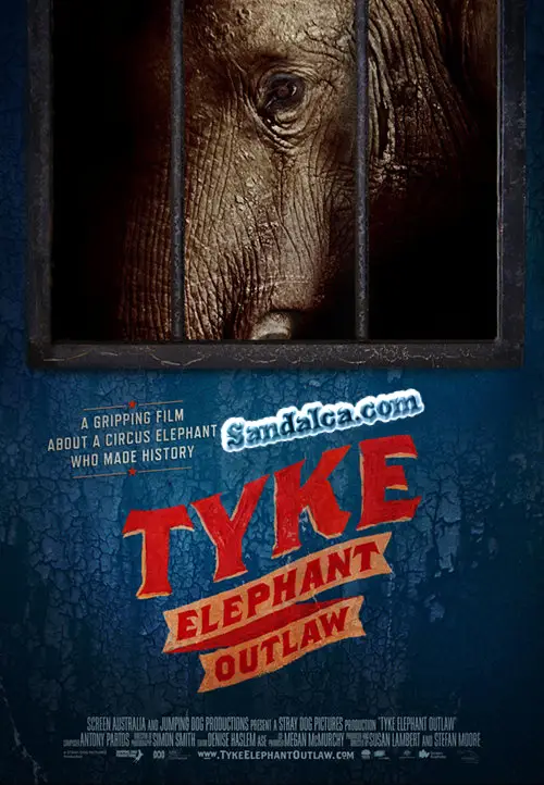Fil Tykein Hikayesi - Tyke Elephant Outlaw Türkçe Dublaj indir | 1080p DUAL | 2015