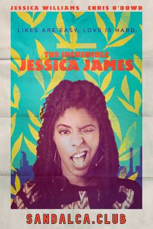The Incredible Jessica James Türkçe Dublaj indir | 1080p DUAL | 2017