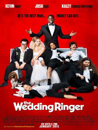 Çılgın Düğün - The Wedding Ringer Türkçe Dublaj indir | 720p DUAL | 2015