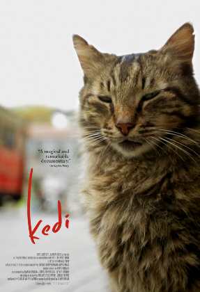 Kedi Sansürsüz indir | 1080p | 2016