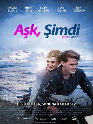 Aşk, Şimdi Türkçe Dublaj indir | 720p DUAL | 2012