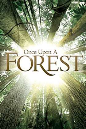 Ormanda - Once Upon a Forest Türkçe Dublaj indir | 1080p DUAL | 2013