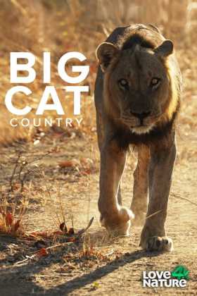 Big Cat Country 1. Sezon Tüm Bölümleri Türkçe Dublaj indir | 1080p