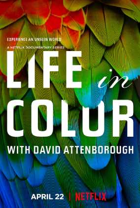 David Attenborough ile Yaşamın Renkleri 1. Sezon Tüm Bölümleri indir | 1080p DUAL