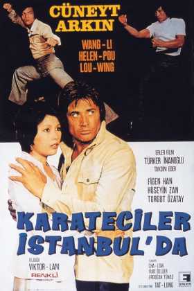 Karateciler İstanbul'da indir | 1974