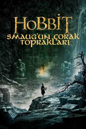 Hobbit: Smaug'un Çorak Toprakları Türkçe Dublaj indir | 1080p DUAL | 2013