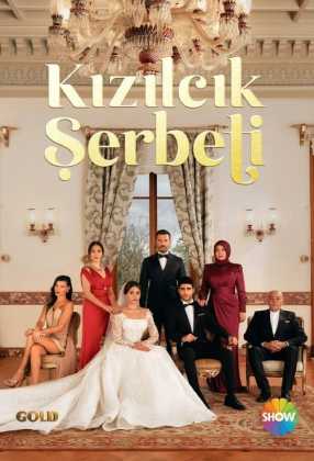 Kızılcık Şerbeti 12. Bölüm indir