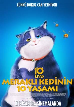 Meraklı Kedinin 10 Yaşamı Türkçe Dublaj indir | 1080p DUAL | 2024